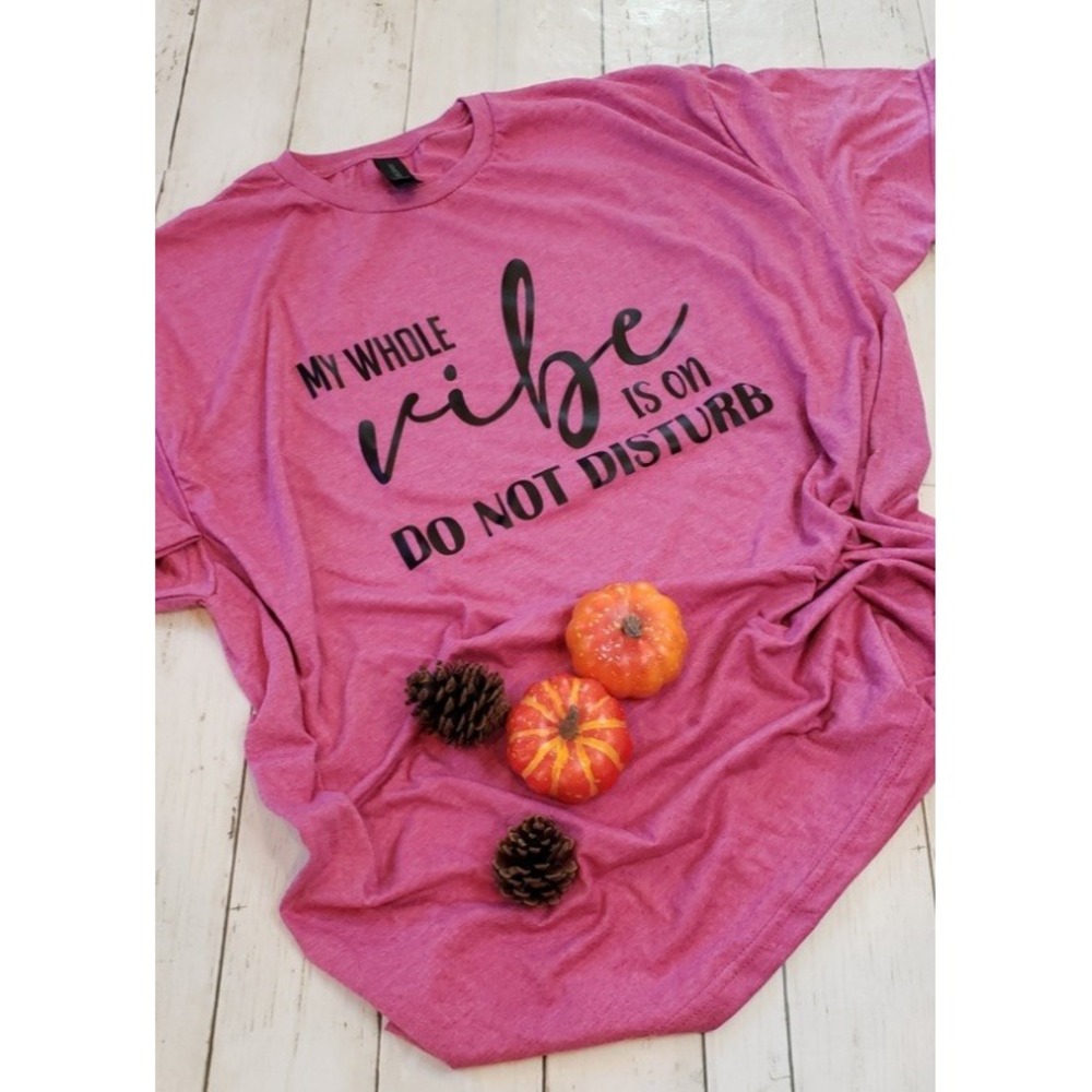 Gildan Softstyle My Whole Vibe Is On Do Not Disturb Graphic Tee Pink 2XL